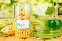 Binchester Blocks biofuel availability
